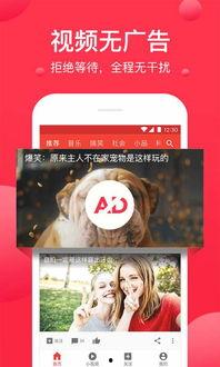 大瓜爆料小鬼视频下载,大瓜爆料背后的真相